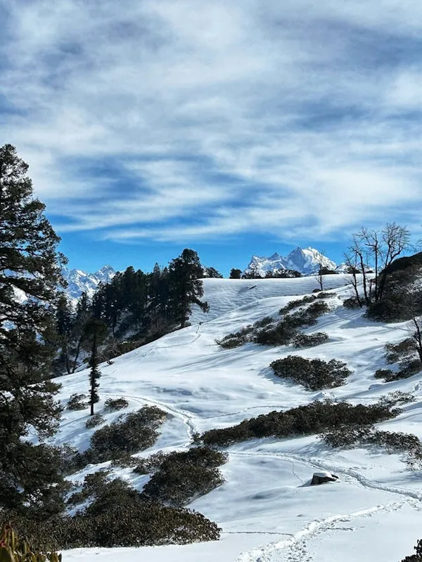 Auli Snow Trip Package
