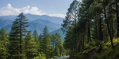 Chakrata Day Trip taxi package