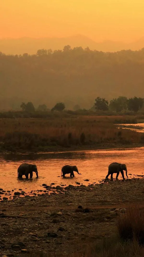 Nainital & Jim Corbett Package